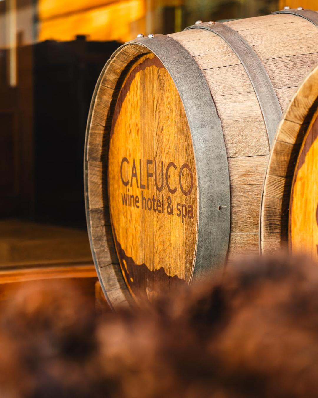 Calfuco Wine Hotel & Spa Puerto Manzano المظهر الخارجي الصورة